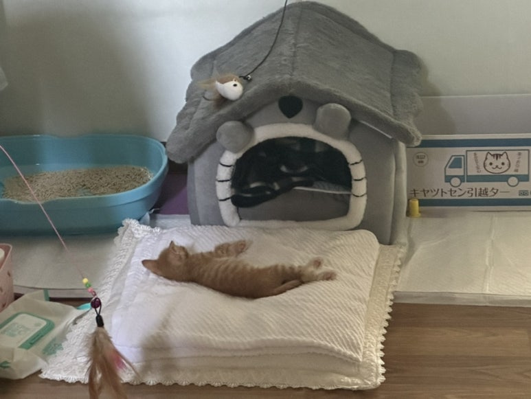 신암회센타 이미지