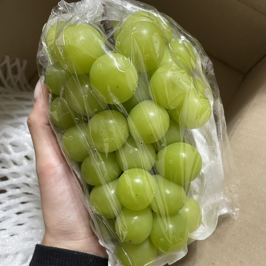 마고농원 이미지