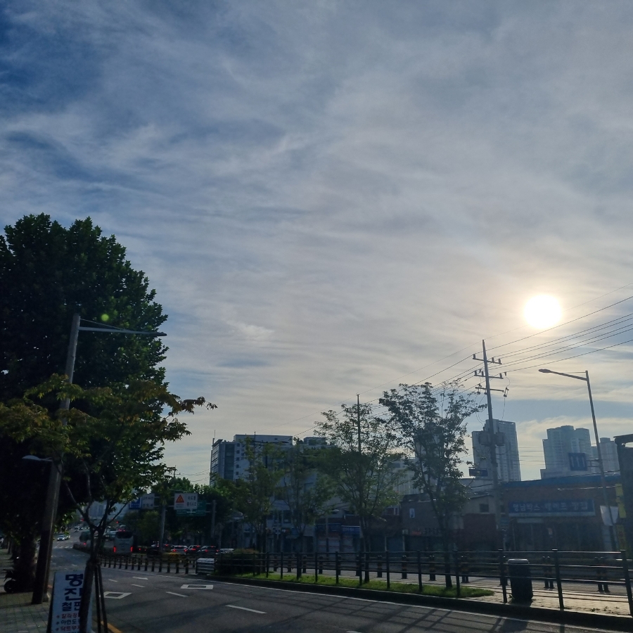 서강직업소개소 이미지