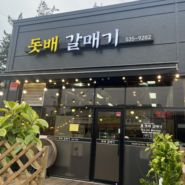 돗배갈매기 이미지