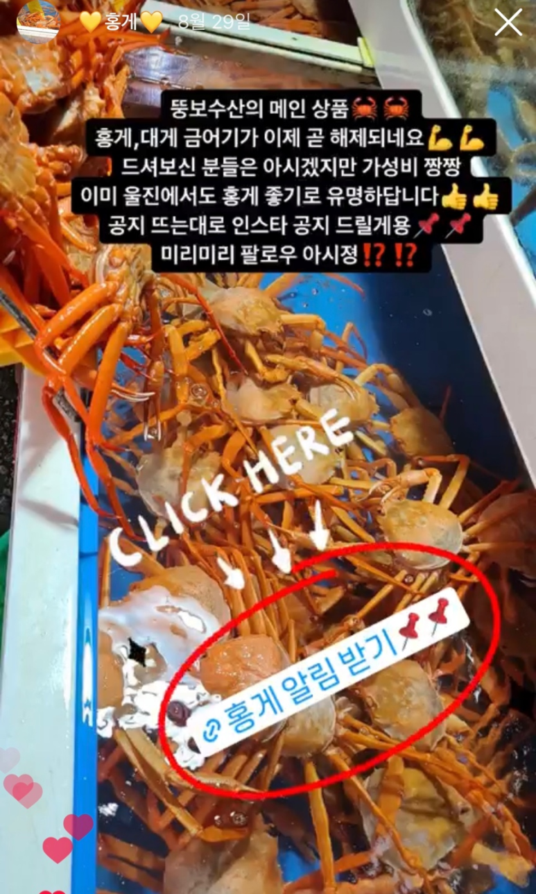 뚱보수산 이미지