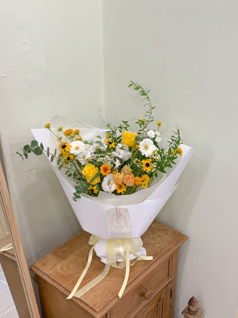 일로브 이미지