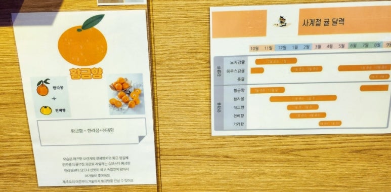 비프룻 이미지
