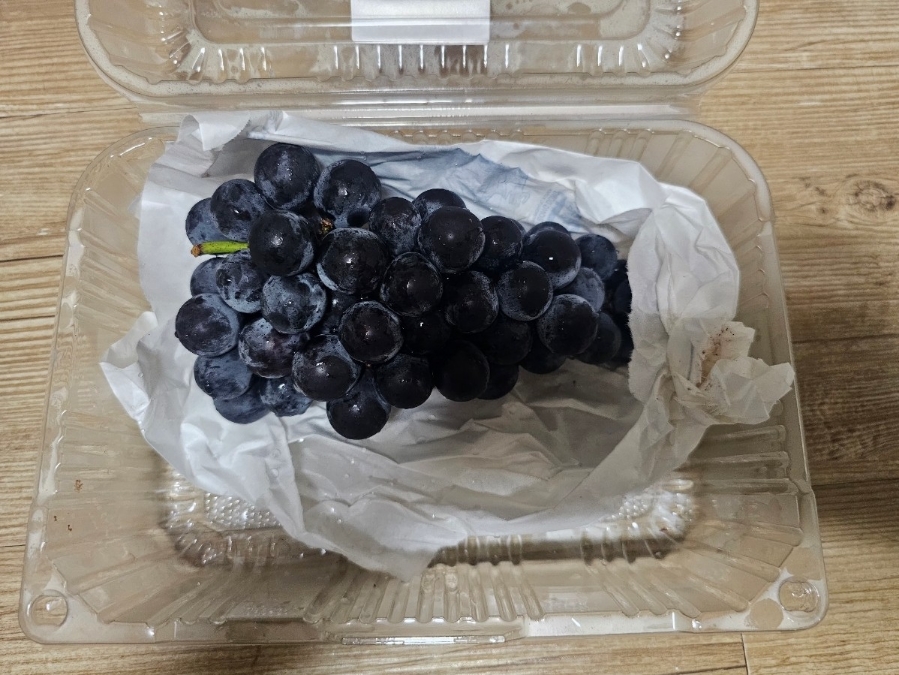 예향정신제주점 이미지