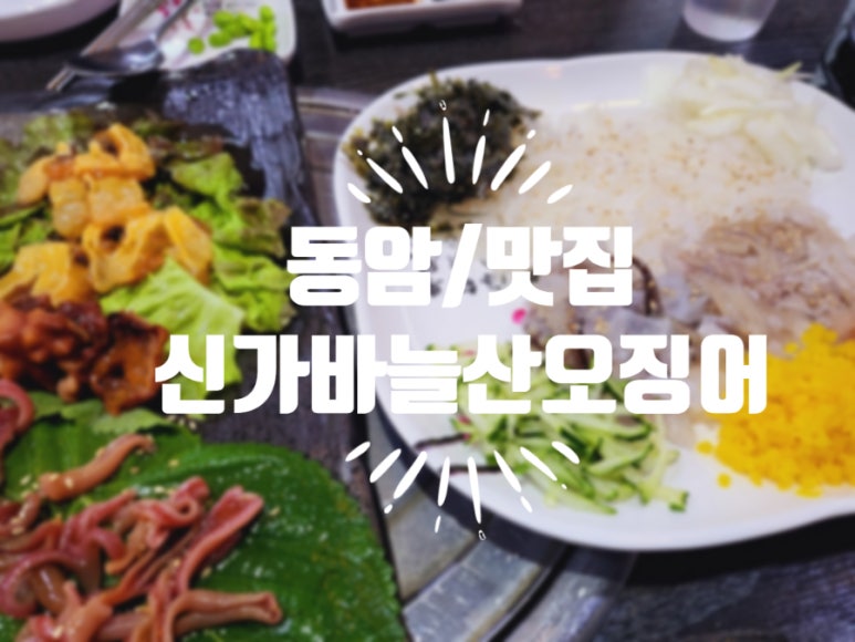 신가바늘산오징어 이미지
