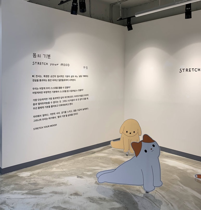 마숑 이미지