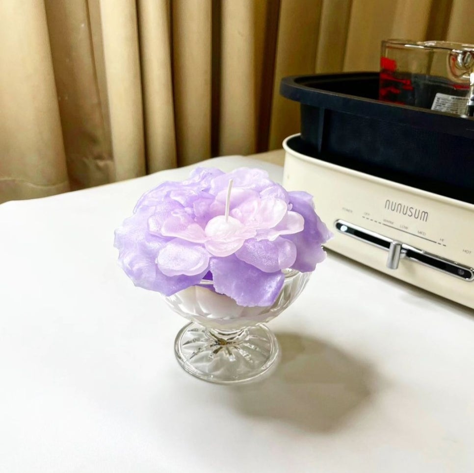 코슈아트 이미지