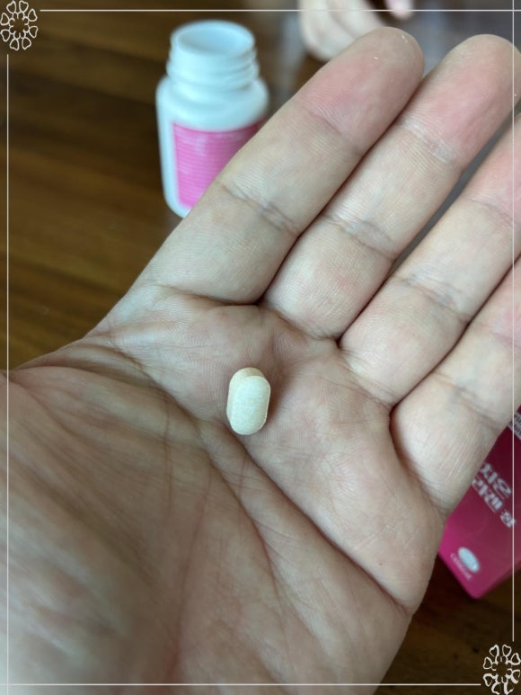 스프링래빗 이미지