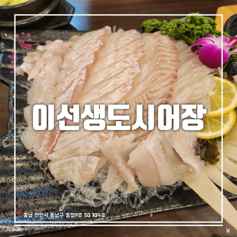 이선생도시어장 이미지