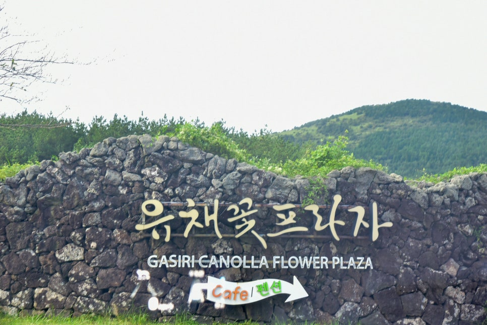 내비프라자 이미지