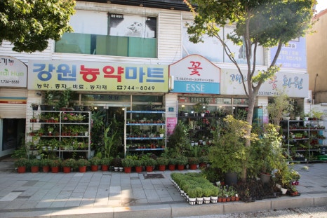 금성이용원 이미지