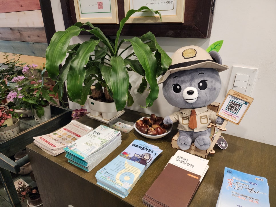 슈슈네가게 이미지