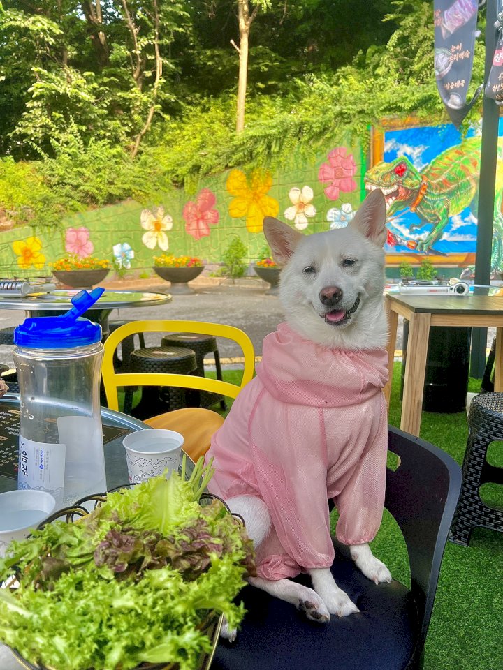 약초명가 이미지