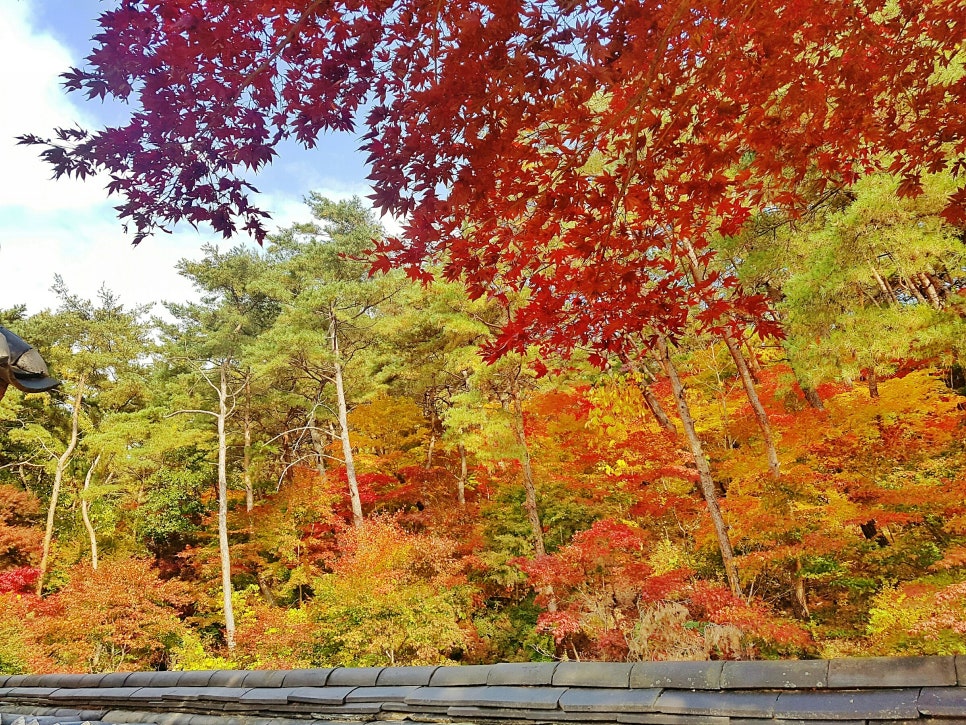 경상북도산림생태과학원 이미지