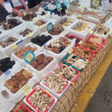 청천랜드 이미지