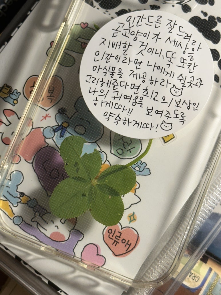 카페클로버 이미지