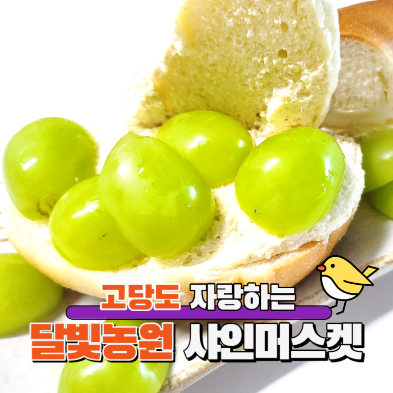 달빛농원 이미지