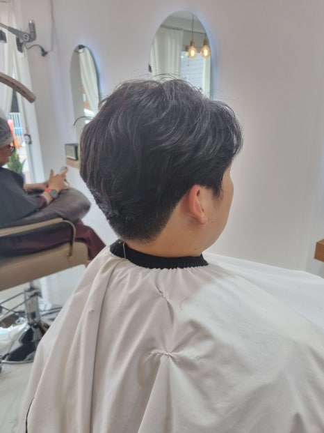 노스헤어 이미지