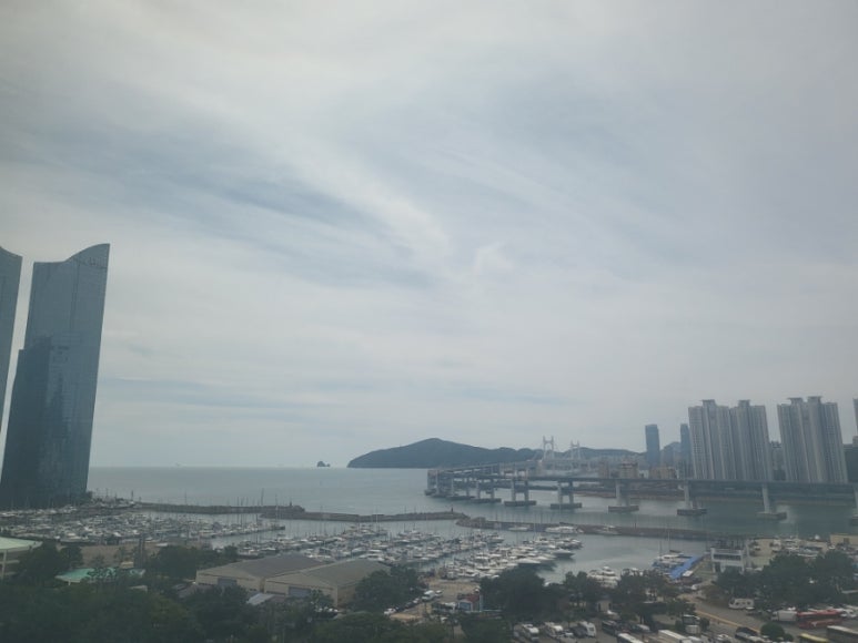 모울(주) 이미지
