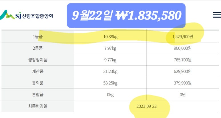 송이향 이미지