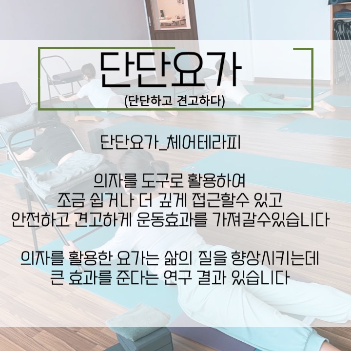 토요요 이미지