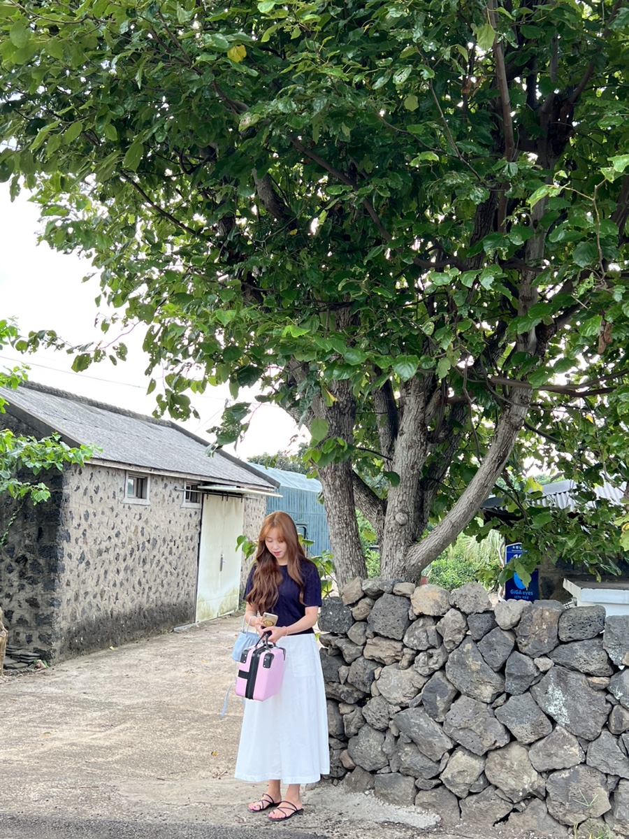 낭그늘 이미지