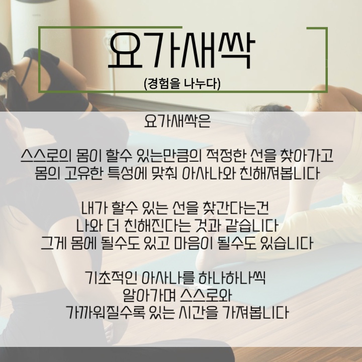 토요요 이미지