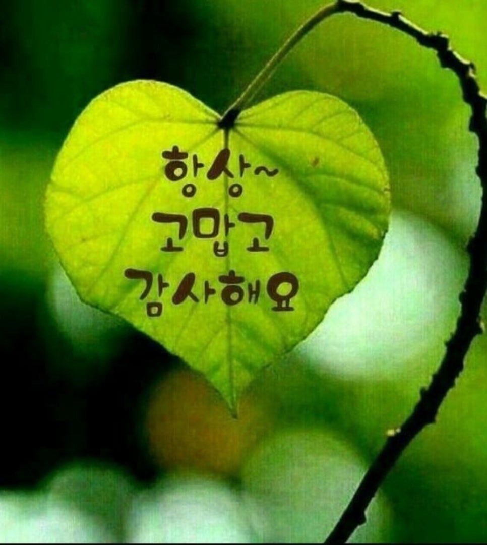 LH시스템 이미지