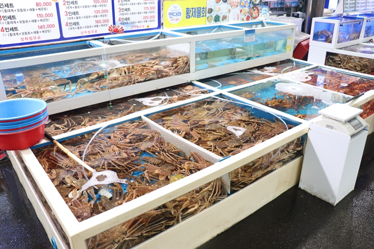 싱싱회식당 이미지