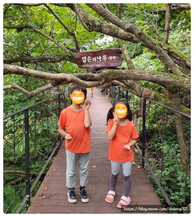덕목가든 이미지