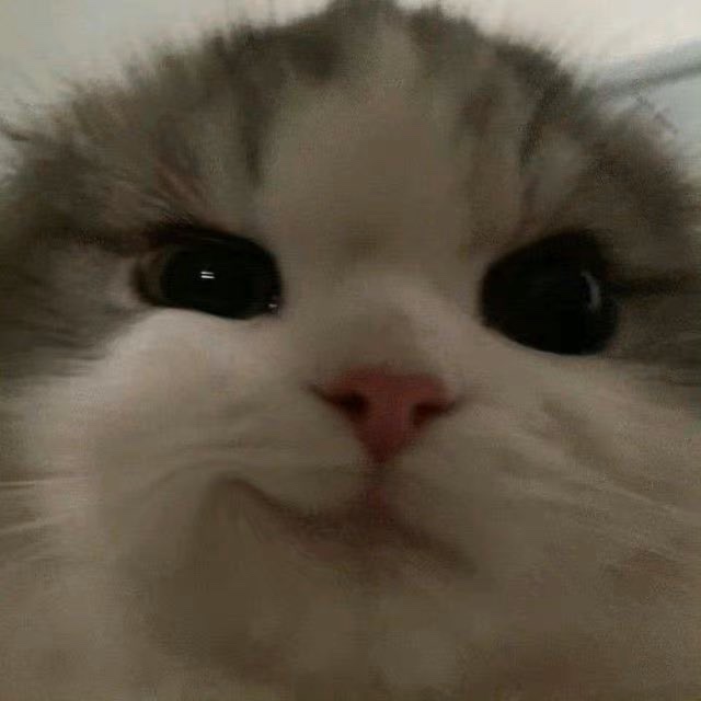 빵드림 이미지