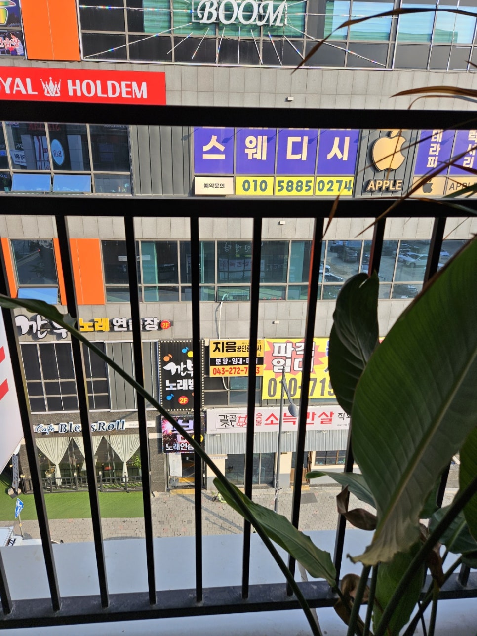리포윅스 이미지