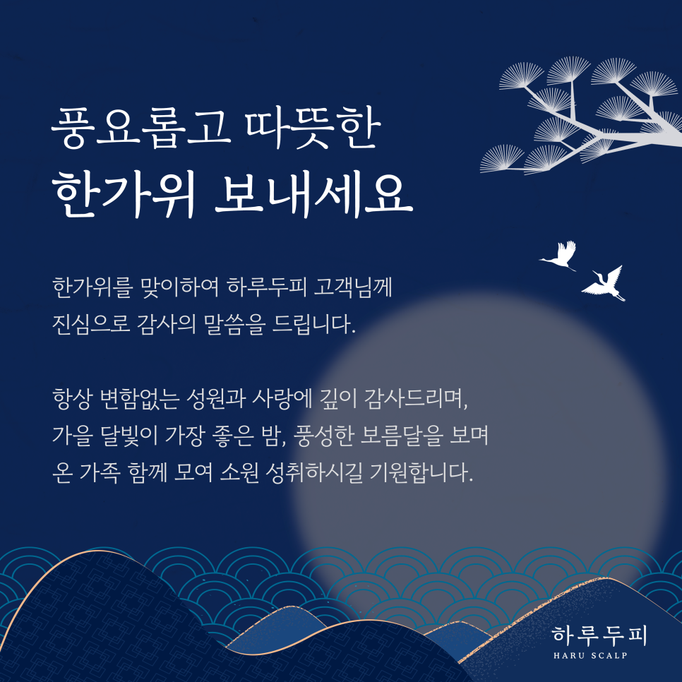 하루두피 동탄1점 이미지