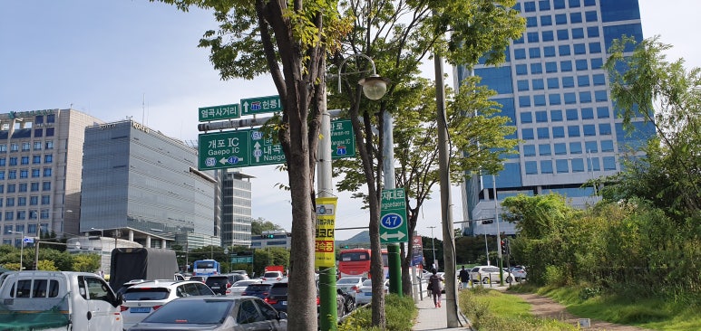 선진화훼유통 이미지
