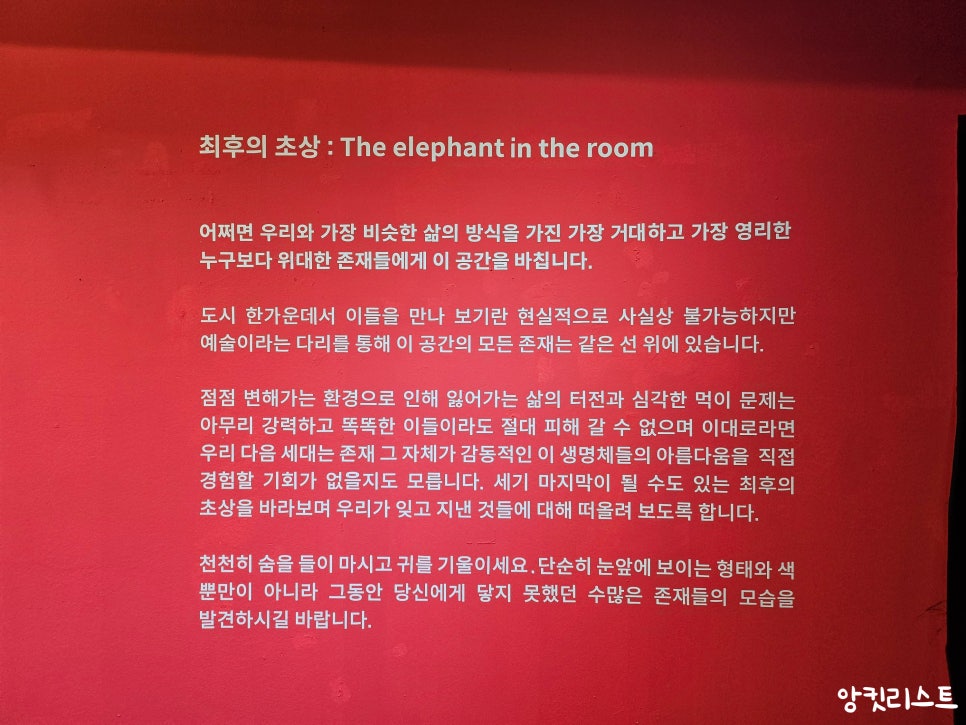 코뿔소작품전시장 이미지