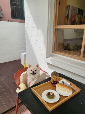 만국상회 이미지