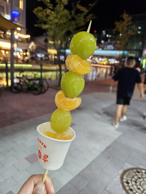 신안 웰리스 이미지