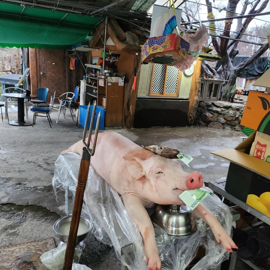 민속당 이미지
