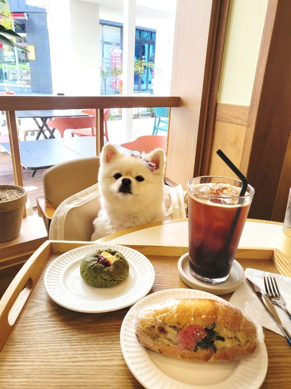 만국상회 이미지