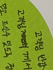 엠브이피자 이미지