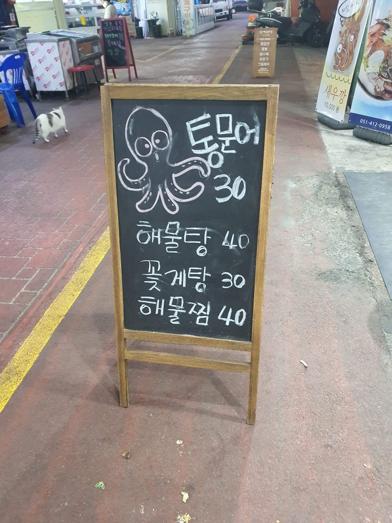 모디포차 이미지