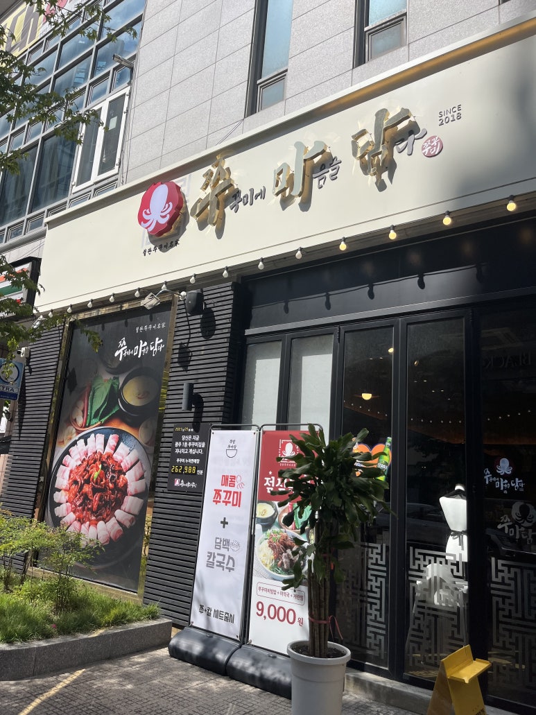 쭈마담 이미지