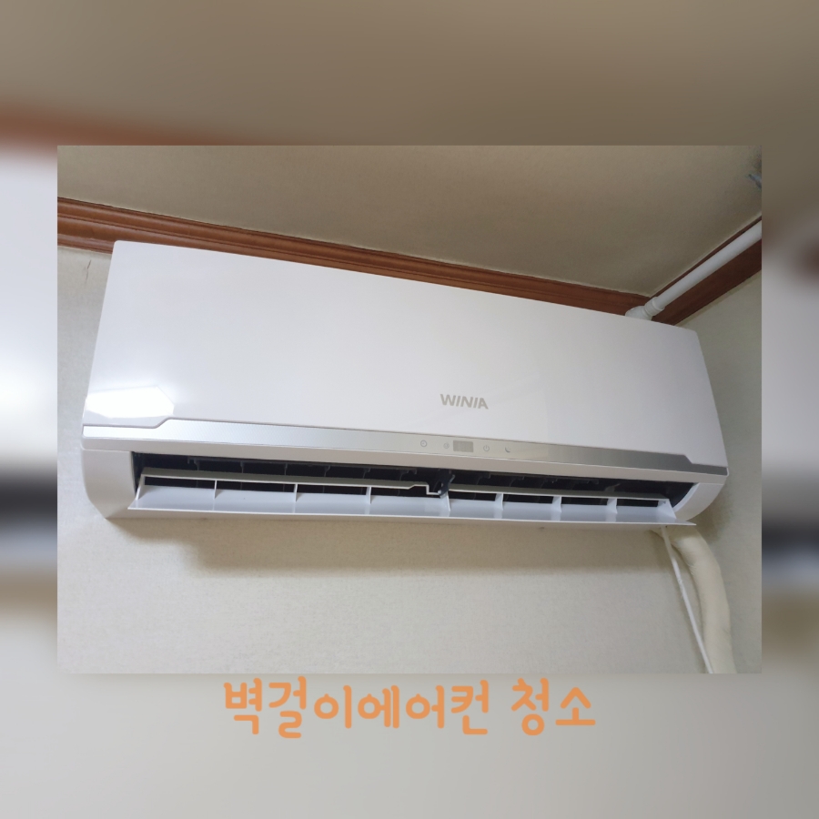 대유삼정 이미지