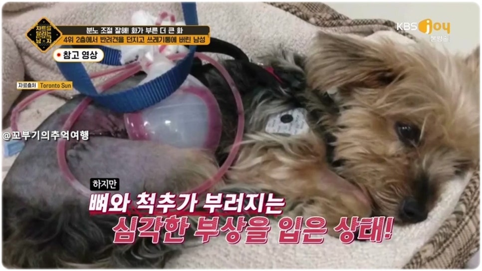 하와이노래주점 이미지