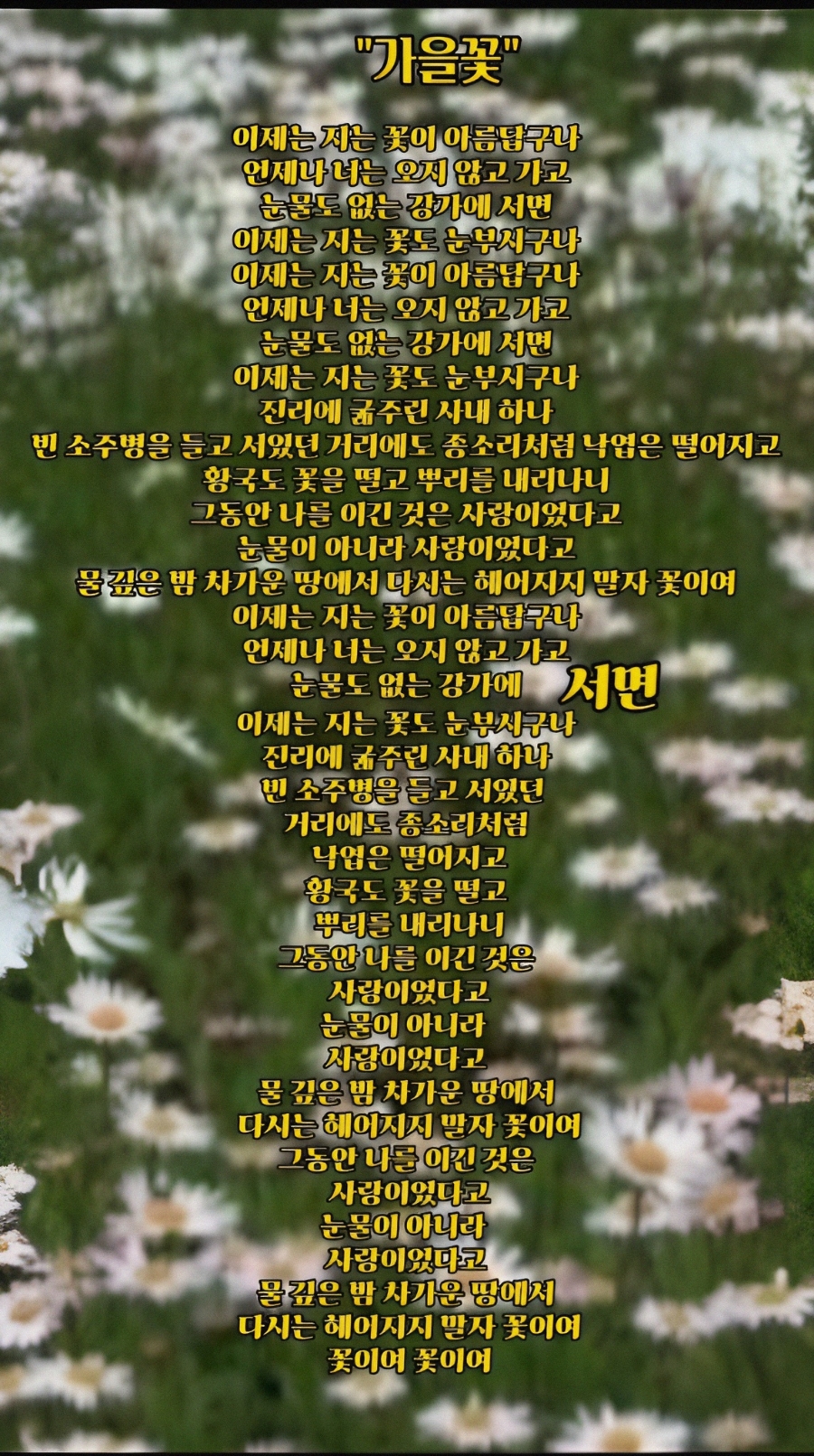 피어나리  헤어 이미지