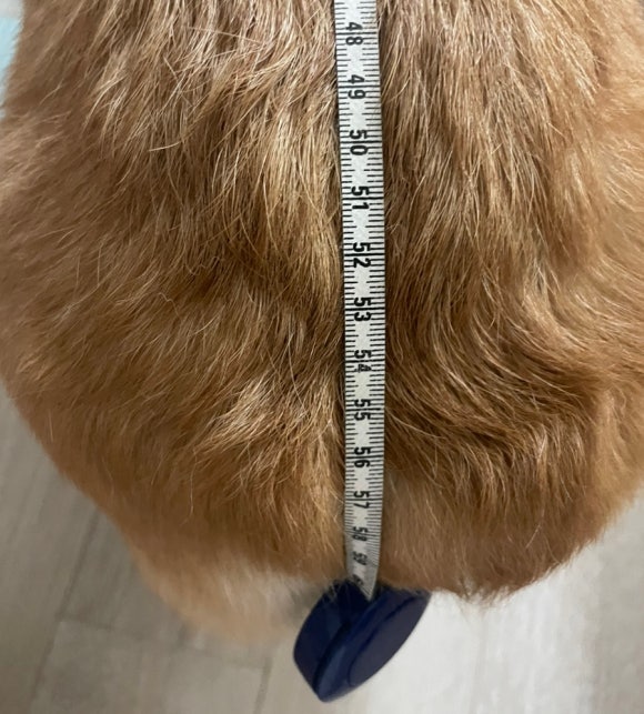 꼼지락제작소 이미지