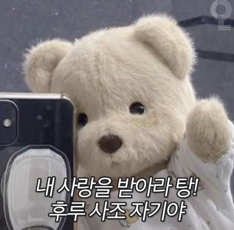 탕탕 탕후루 이미지