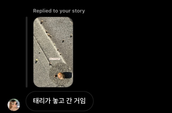 도토 이미지