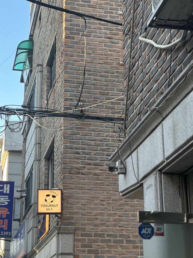 요거넛넘버나인 이미지