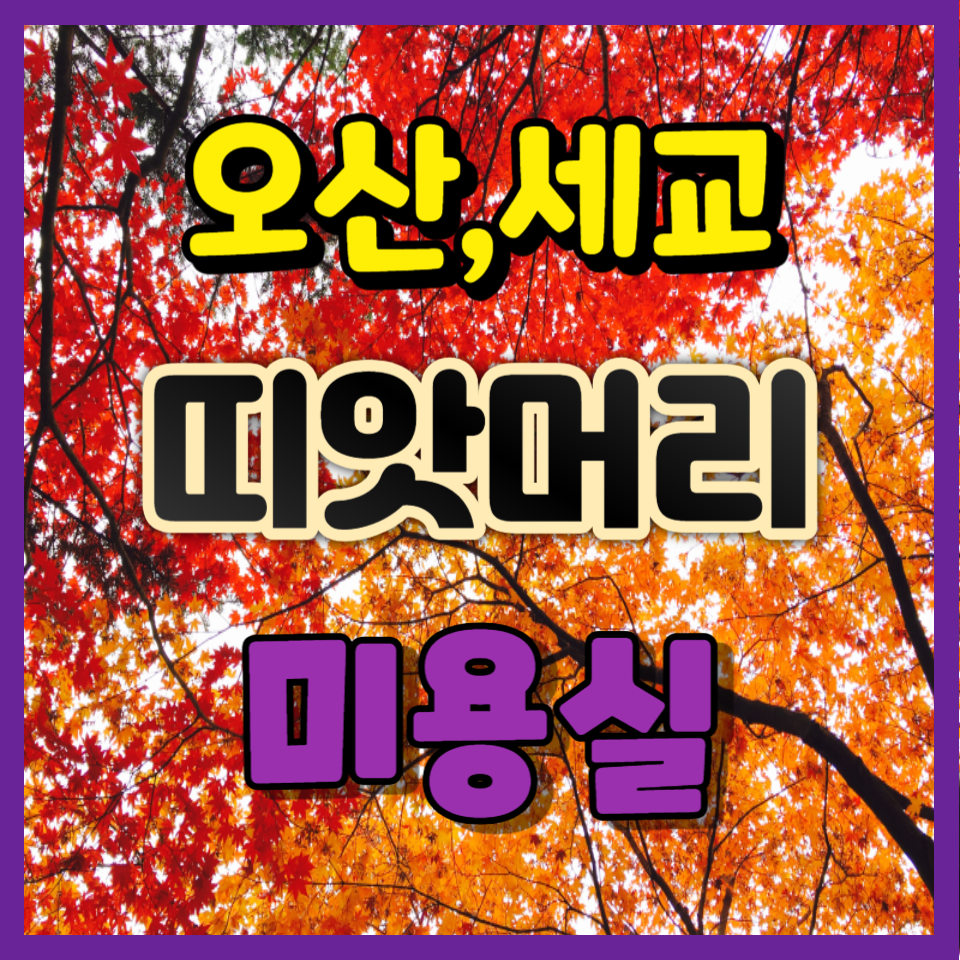 띠앗머리세교점 이미지